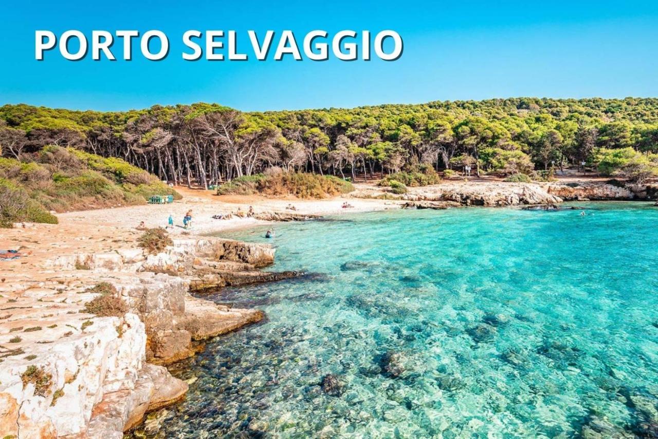 Delfino - Ampio Appartamento A 40 Metri Dalla Spiaggia Lido Conchiglia Екстериор снимка