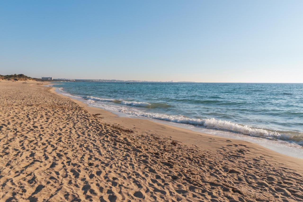 Delfino - Ampio Appartamento A 40 Metri Dalla Spiaggia Lido Conchiglia Екстериор снимка
